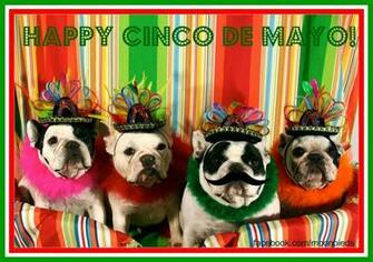 Cinco De Mayo Best Cars Res