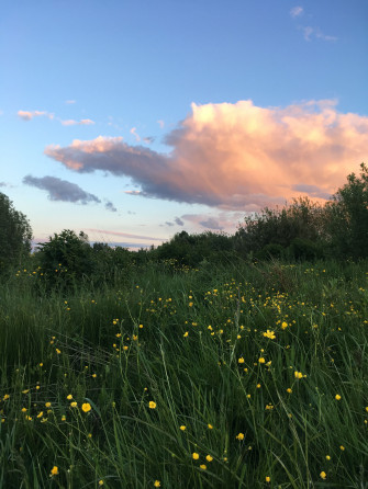 Pin Tillagd Av A P Nature Wallpaper