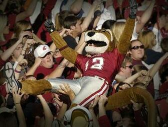 Wsu Cougars Wallpaper Box