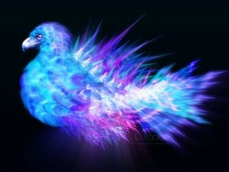 Blue Phoenix Bird Wallpaper Storm By