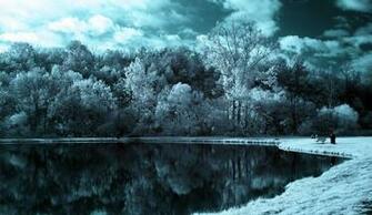Category Nature HD Wallpaper Subcategory Forests