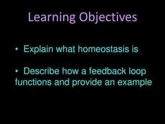Homeostasis Ppt