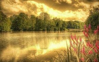Abstract Nature Wallpaper Which Is Under The