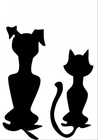 Cat And Dog Silhouette HD Walls Find Wallpaper