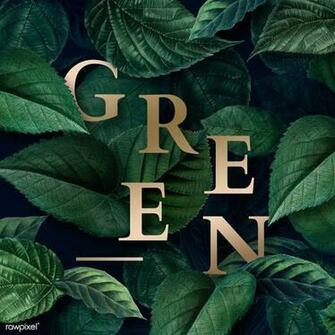 Premium Illustration Of Green On A Leafy Background