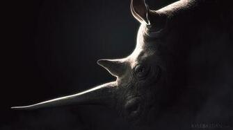 Best Rhino Background HD Wallpaper