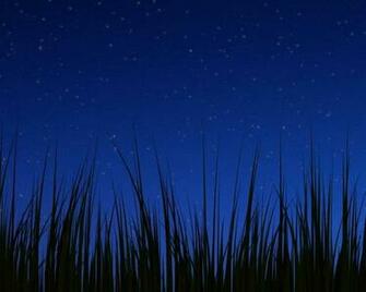 Wallpaper Hintergrundbilder Android Nacht