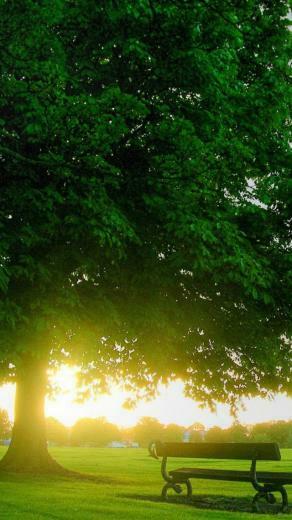 Spring Sunset iPhone HD Wallpaper