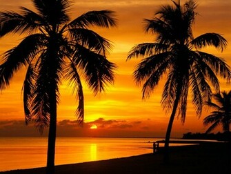 West Florida Cool Background And Wallpaper For Your Desktop