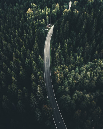 Forest Road Pictures Image