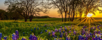 City Events Reno Tx Official Website