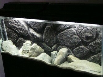 Stump Background Aquarium