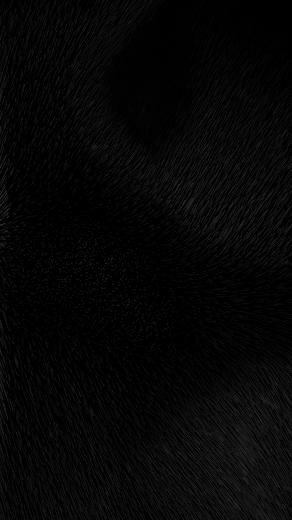 Exactly Living Cool Black Wallpaper iPhone Plus Wallpaperpit