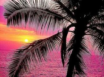 Girly Desktop Background HD