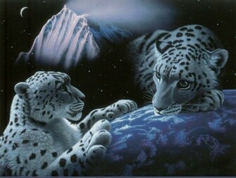 White Tiger Wallpaper Tigers Picture Bengal