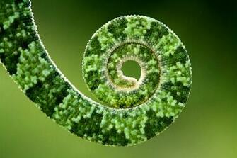 500px Rare Image Of The World Unseen