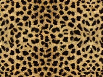 Animal Print Background
