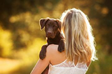 Desktop Wallpaper Puppy Retriever Dog Blonde Girl Hair Female