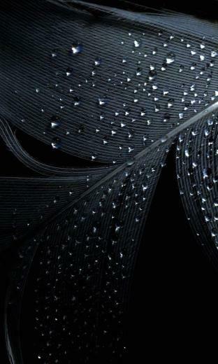 Nokia Lumia Blackberry Z10 X Type Wallpaper For N