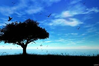 Birds After Sunset Abstract HD Wallpaper Epic Desktop Background