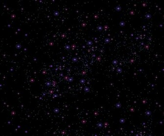 Funny Image Switch To Static Wallpaper Follow
