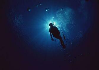 Scuba Diving Wallpaper