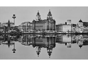 White 50x100cm Close Up Skyline Taskers The Home Store