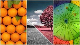 Wallpaper Exclusivo Para Todos Os Aparelhos Windows Phone Quem