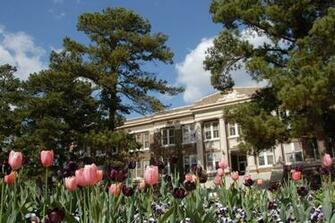 Stephen F Austin State University Isep Study Abroad