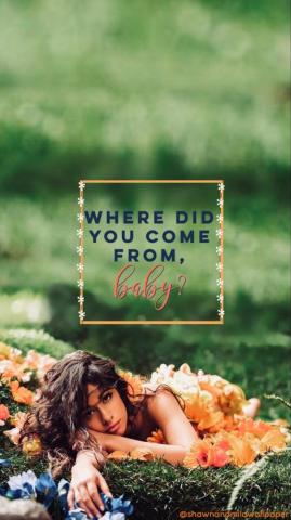 Camila Cabello Wallpaper Soft Grunge Aesthetic