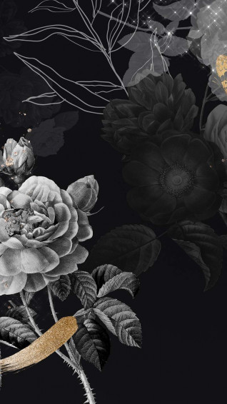 iPhone Wallpaper Dark