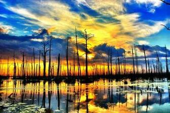 Chauvin La Swamp Susnet Pixdaus