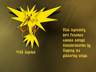 Zapdos Wallpaper