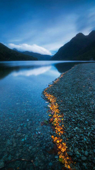 HD Nature Phone Wallpaper
