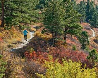 Rave Run Brenta Dolomites Italy Runner S World