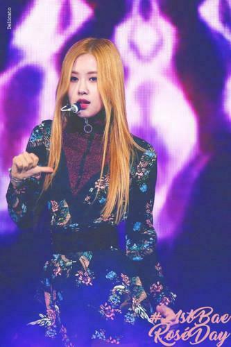 Black Pink Image Happy BirtHDay Ros HD Wallpaper And
