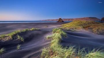 West Coast New Zealand Wallpaper Beach
