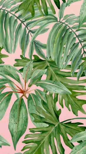 Plant Aesthetic Wallpaper Top Background