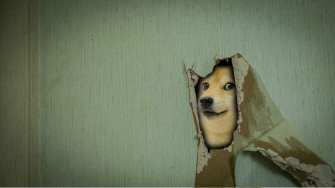Doge Memes Wallpaper HD
