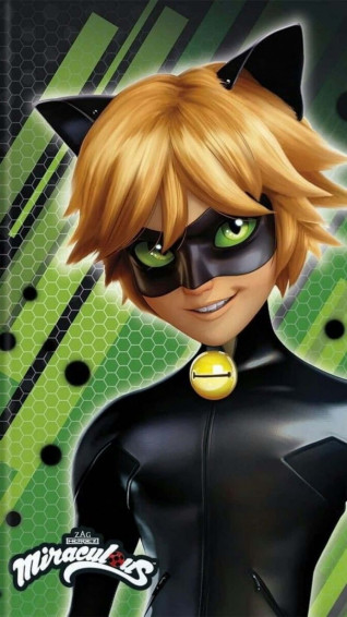 Cat Noir Miraculous Hero Wallpaper