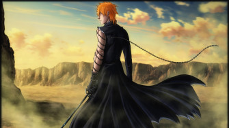 Bleach HD Wallpaper