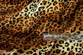 Leopard Print Fabric Faux Fur Background Stock Photo Getty Image