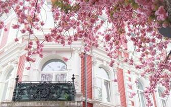 Spring Paris Wallpaper For Widescreen Desktop Pc Full HD