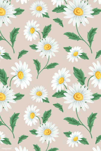 Flower Daisy Wallpaper