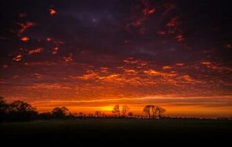 Clouds Trees Silhouettes Branches Wallpaper Landscapes