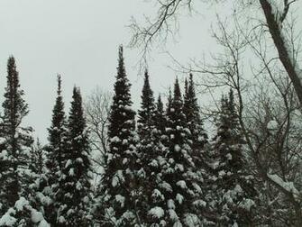 You May Post Any Photos From Mystic Minnesota Anywhere Like As