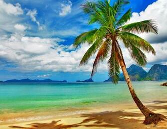 Tropical Paradise Beach Coast Sea Blue Emerald Ocean Palm
