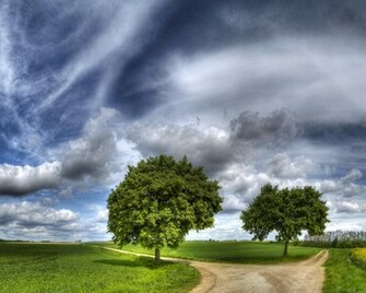 Source Url Blirk Net Nature Wallpaper