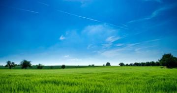 Green Field Transparent Background Png Arts