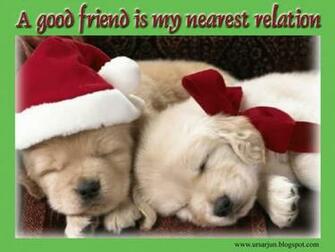 Friendship Wallpaper